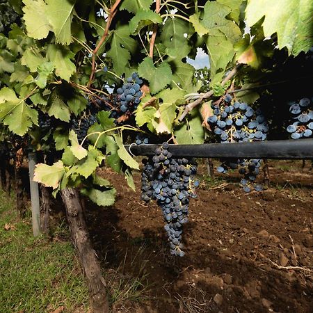 ホテル Antico Borgo Molino 7Cento Vicino Ai Giardini Di Ninfa Cori エクステリア 写真